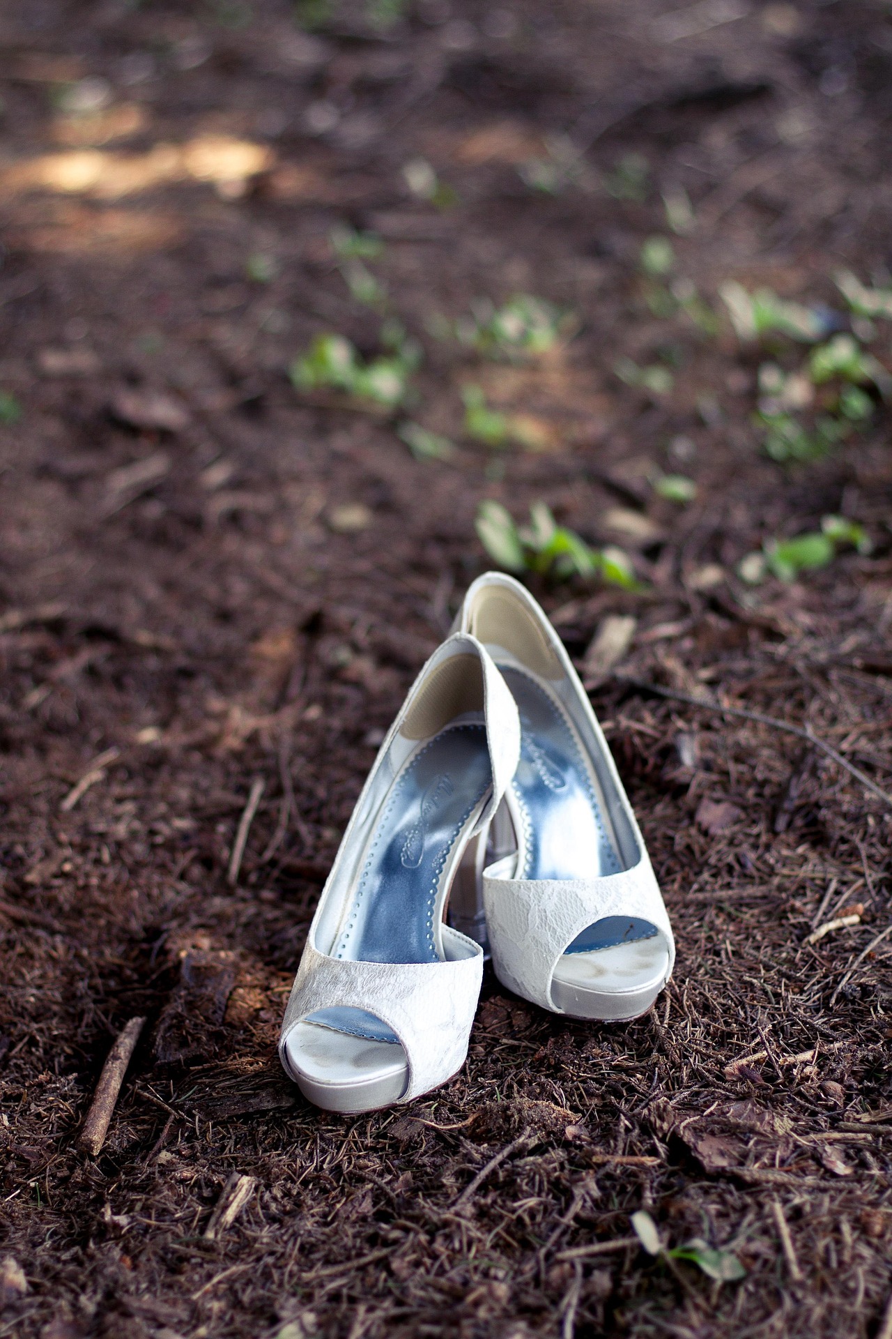 /uploads/image/2025/05/16/c991d275-8d9a-4245-a35f-f8718301abdf.jpg shoe-shot-2291607_1920.jpg